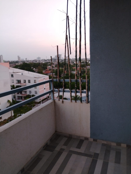 WhatsApp Image 2026-05-13 at 8.16.22 AM.jpeg